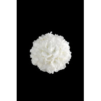 Blossom Kissing Ball