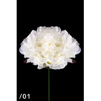 Large Single Head Peony