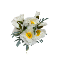 Giant poppy bunch