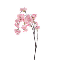 Drooping Blossom