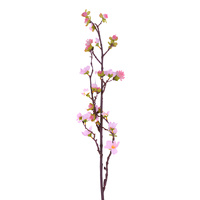 Peach Blossom
