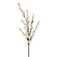 Chinese Blossom Spray