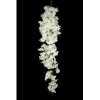 Hanging Blossom