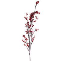 Mini Blossom  (40 x 6 heads)