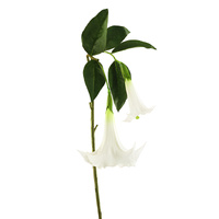 Morning Flower X 2