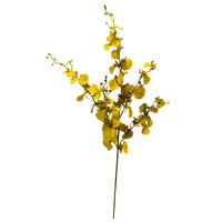 Dancing Orchid