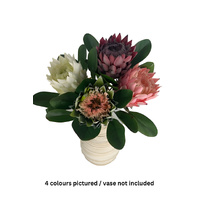King Protea (4 Colour)