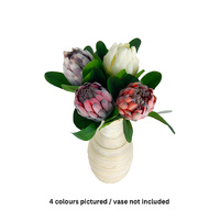 Queen Protea (4 Colour)