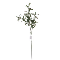 Olive Branch Spray