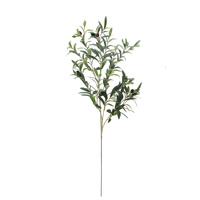 Olive Branch Spray