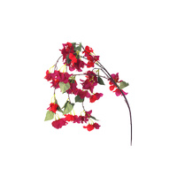 Bougainvillea Spray