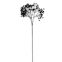 Black Gypsophila  Filler