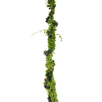Green Pepper Garland