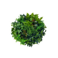 Round Mixed Fern & Ivy panel