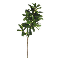 Camellia Spray with Buds