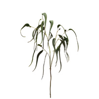 Natural Look Eucalyptus Spray