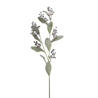 Berry Leaf Spray