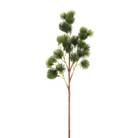 Pine Spray