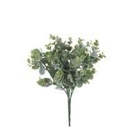Eucalyptus Spray