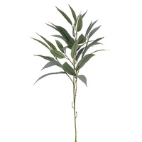 Long Leaf Eucalyptus Spray