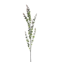 Eucalyptus Spray