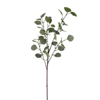 Dollar Leaf Eucalyptus Spray