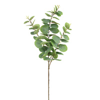 Eucalyptus Spray