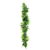 Greenery Trail - FERN