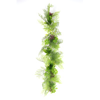 Greenery Trail - MAIDEN HAIR