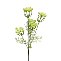 Field Flower