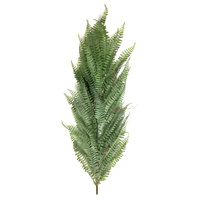Hanging Grass Fern Bush
