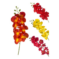 PHALAENOPSIS - Red/Orange