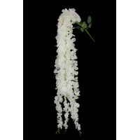 Trailing Orchid Spray