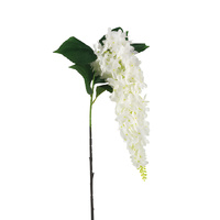 Hanging Hydrangea White