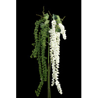 Amaranthus Trail in white