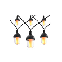 10 x LED Candle light festoon string