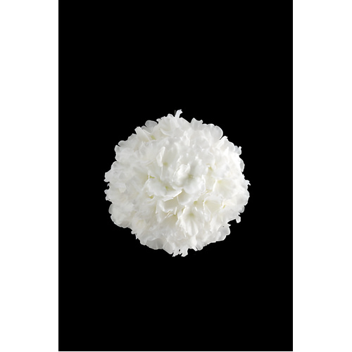Blossom Kissing Ball
