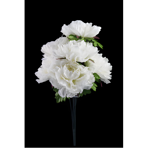 Peony Spray (7 Large Heads)