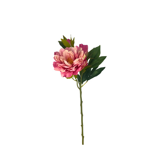 Peony Spray Stem