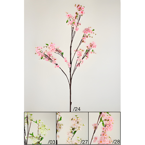 Blossom Tree