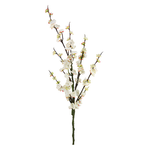 Chinese Blossom Spray