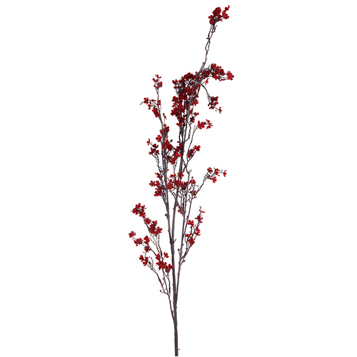 Mini Blossom  (40 x 6 heads)