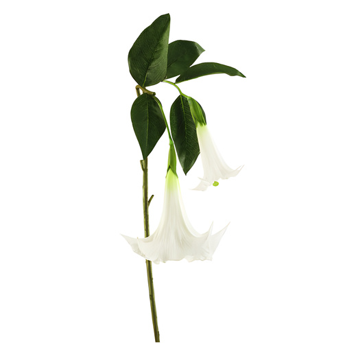 Morning Flower X 2