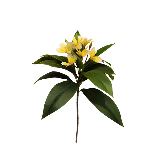 15 Frangipani Leaf Spray with 7 heads