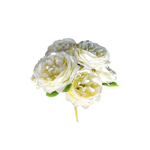 PEONY bunch