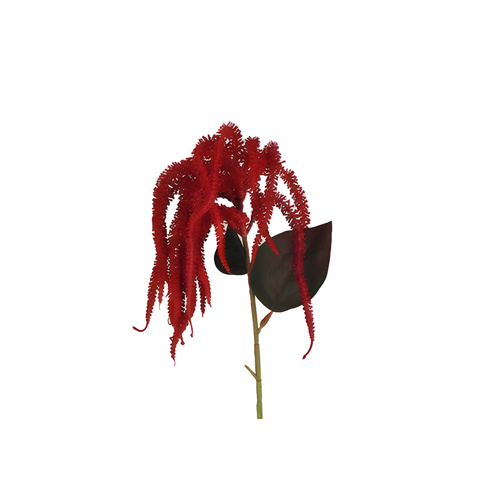 Veronica Spray