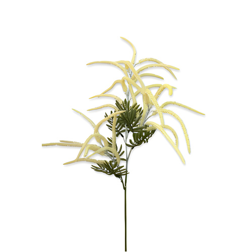Veronica Tails Spray