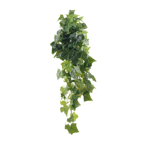 Large English Ivy Swag x 9