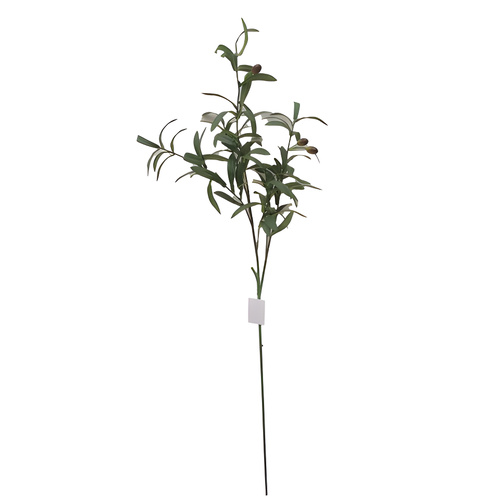 Olive Branch Spray