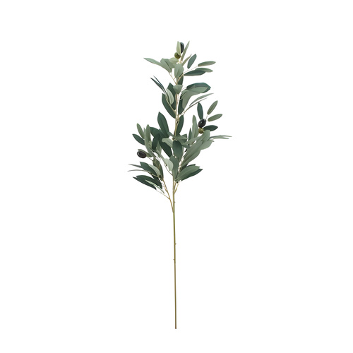 Olive Branch Spray